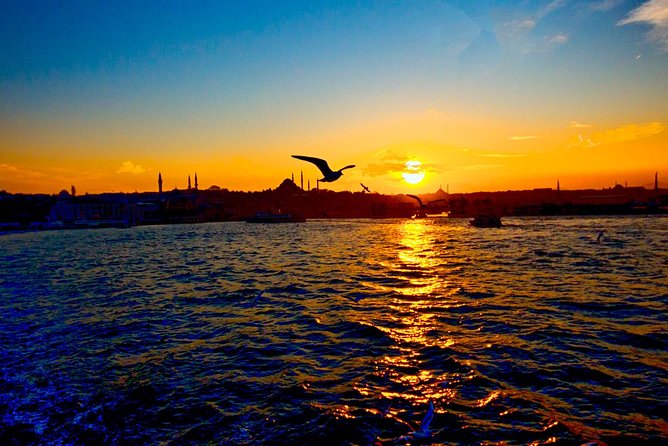2-Hour Private Luxury Yacht Cruise on Bosphorus with Transfers - Topkapi Palace, Maiden’s Tower, and the moment the strait steals the show