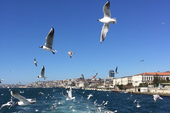 2-Hour Private Luxury Yacht Cruise on Bosphorus with Transfers - Beylerbeyi Palace, Kucuksu Pavilion, and what to watch for on the Asian shore