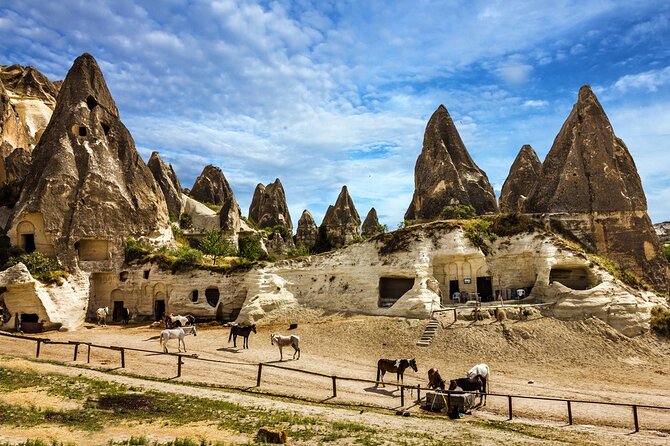 4 Day Cappadocia and Gobeklitepe Private Tour from Istanbul - Price and logistics: is $2,361.51 per person worth it?