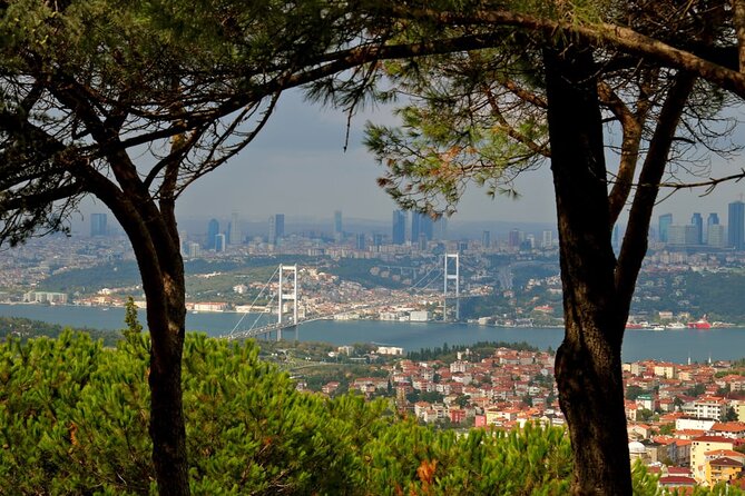 Asian Side of Istanbul Tour - Half-Day Small Group Tour - Bagdat Street: Modern Istanbul, Good for Picking Your Next Stop