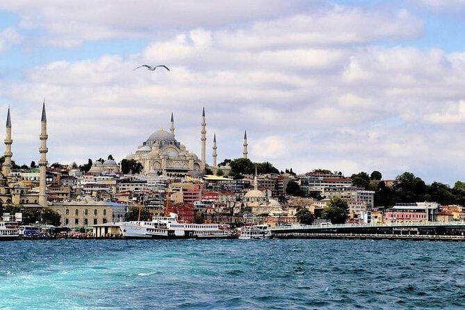 Bosphorus Cruise Tour Istanbul - Boat comfort and cleanliness: the part reviews can’t ignore