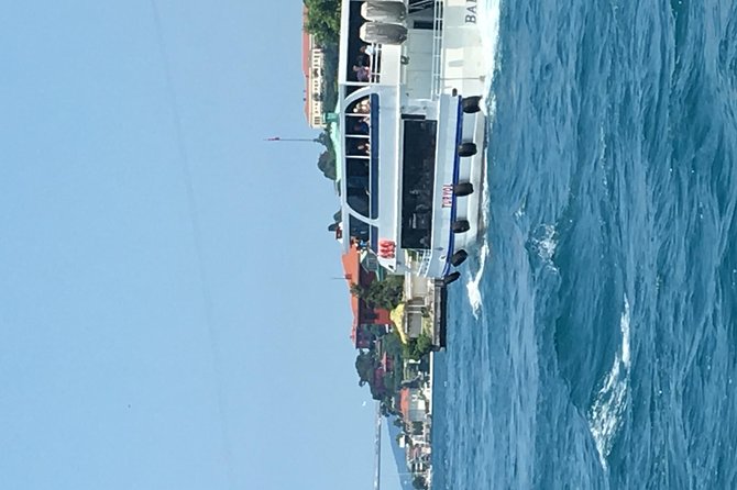 Bosphorus Cruise With Dolmabahçe Palace and Fortresses - Dolmabahçe Palace: a grand start on the water