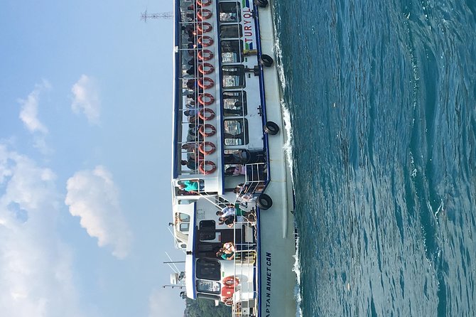 Bosphorus Cruise With Dolmabahçe Palace and Fortresses - Bosphorus cruise: bridges, fortresses, and two-city views
