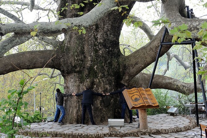 Bursa Day Trip from Istanbul - Uludag National Park by Cable Car: The Fun 30-Minute Cabin Ride