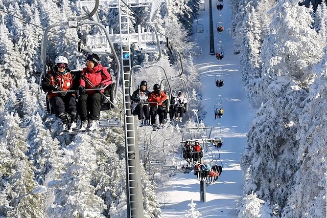 Bursa Day Trip from Istanbul with Uludag Cable Car Experience - Who this day trip fits best