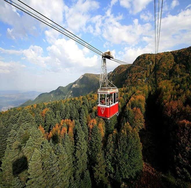 Bursa Nature Tour with Lunch & Cable Car (optional) - Historic Plane Tree: a quick stop with a big sense of place