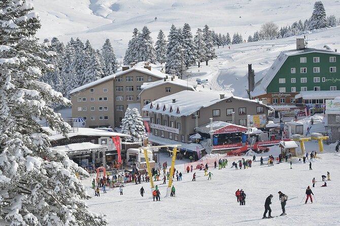 Bursa Uludağ Mountain Tour & Cable Car Ride from Istanbul - Price and Value: What $47.32 Is Really Buying You