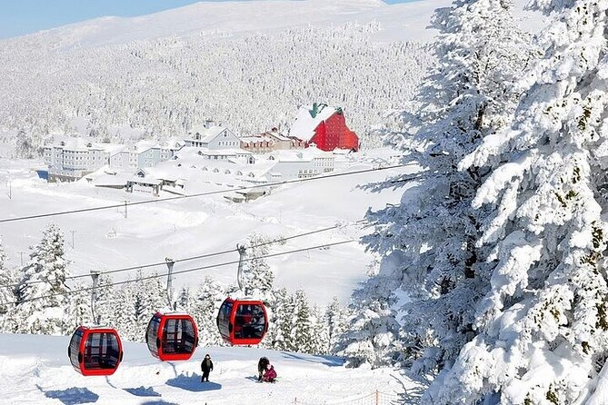 Bursa Uludag Tour From Istanbul with Lunch - Should You Book This Bursa Uludağ Tour From Istanbul?