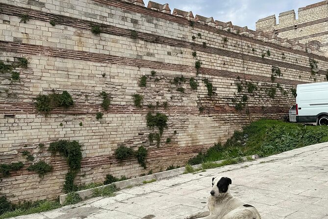 Byzantion Walk Path and City Walls of Istanbul - Price and Group Value for a Private Istanbul Walk
