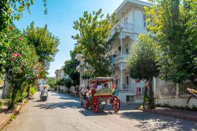 Cruise to the Princes' Islands - The Guided Walk: Wooden Houses, Quiet Streets, and Byzantine Stories