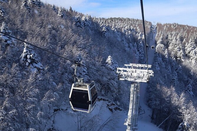 Daily Bursa Uludag Mountain & Cable Car Tour with Lunch from Istanbul - Bursa Sights Without the Stress: Turkish Delights and Two Ottoman Masterpieces
