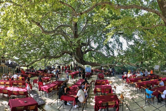 Daily Bursa Uludag Mountain & Cable Car Tour with Lunch from Istanbul - Lunch in the Mountains: One Included Break That Helps