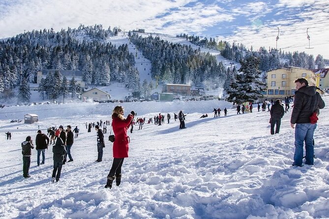 Daily Bursa Uludag Mountain & Cable Car Tour with Lunch from Istanbul - Price and Value: What $50.57 Really Buys You