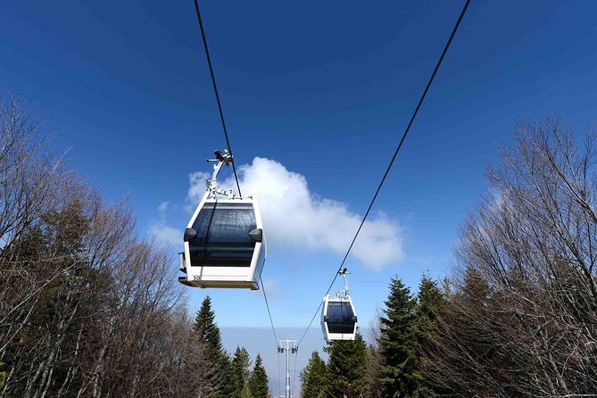 Daily Green Bursa Tour From Istanbul - Uludağ National Park Time: Enjoy the Air, Don’t Overplan