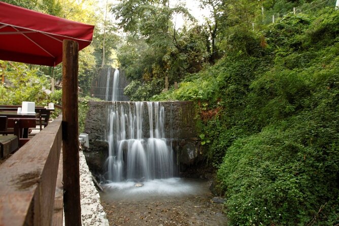 Daily Sapanca & Maşukiye & Mahmudiye Tour with Lunch from Istanbul - Why Sapanca and the Kocaeli towns are a smart Istanbul escape