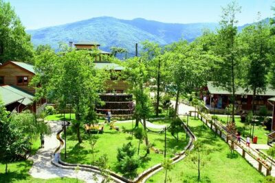 Daily Sapanca & Maşukiye & Mahmudiye Tour with Lunch from Istanbul - Price and value: what $29.80 buys you in real terms