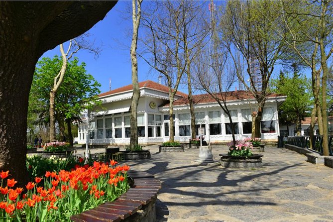 Dolmabace Palace, Bosphorus Boat Tour , Eyüp Sultan Mosque Tour - Who this tour suits best (and who should adjust expectations)
