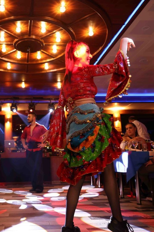 From Istanbul: Bosphorus Dinner Cruise Tavern & World Show - Comfort, rules, and who should not book