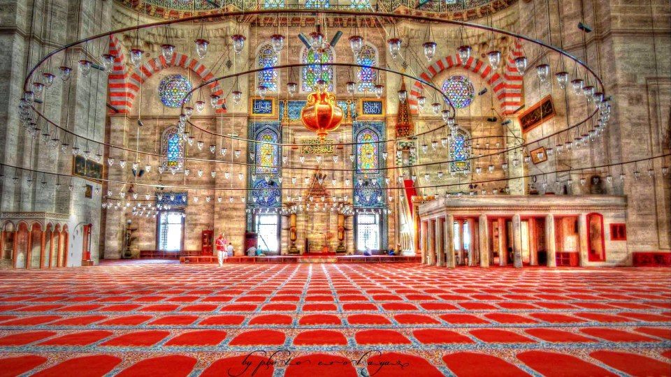 From Istanbul: Green Bursa Full-Day Excursion - Key Things to Know Before You Go