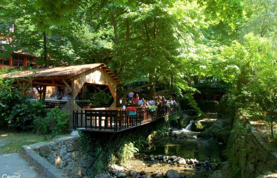 From Istanbul: Guided Day Trip to Sapanca and Masukiye - Key things I’d note before you go