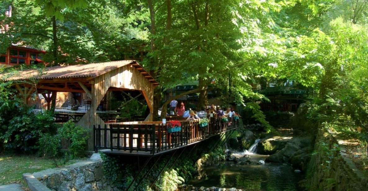 From Istanbul: Guided Day Trip to Sapanca and Masukiye - Sapanca Zoo: animal viewing with care and intelligence