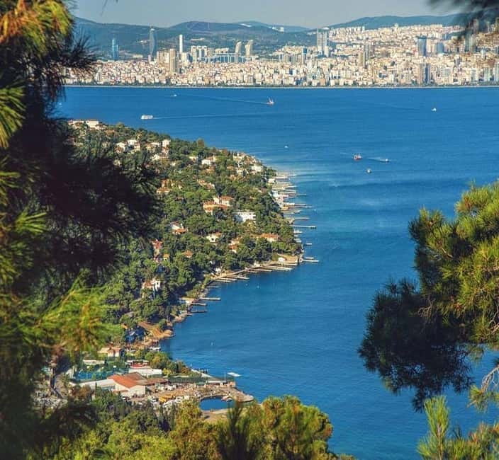 From Istanbul: Princes Island Tour with 2 Islands - Feeding Seagulls and Learning the Island Story