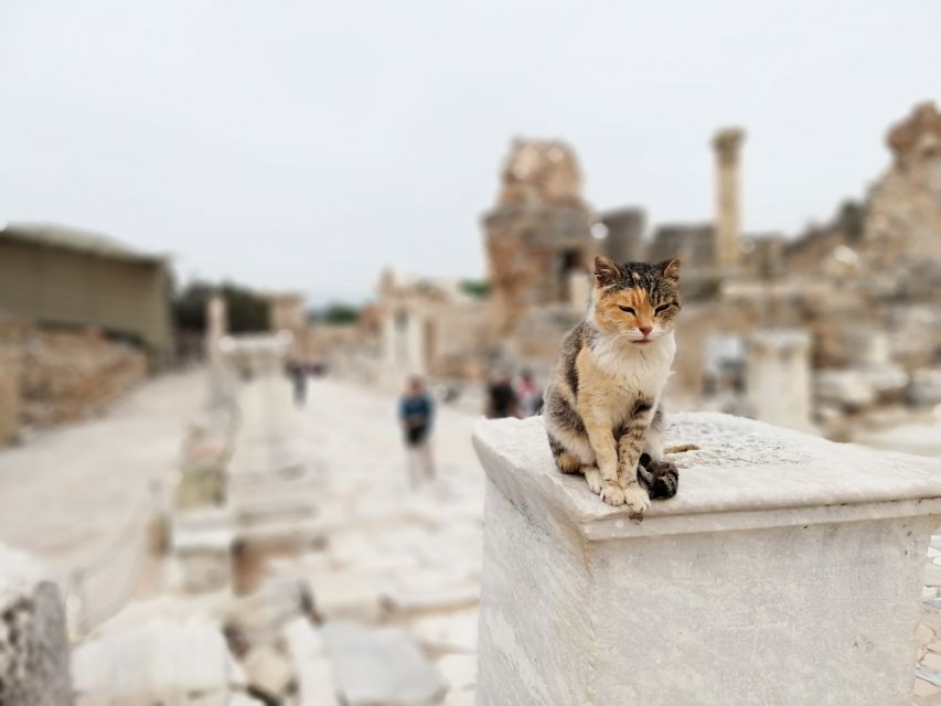 From Istanbul: Private Guided Day Trip to Ephesus with Lunch - Ephesus on foot with a guide: marble streets, big names, big scale