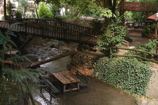 From Istanbul: Sapanca and Masukiye Day Trip with Lunch - Mahmudiye: The Adventure Stop (Ziplining and Water Fun)