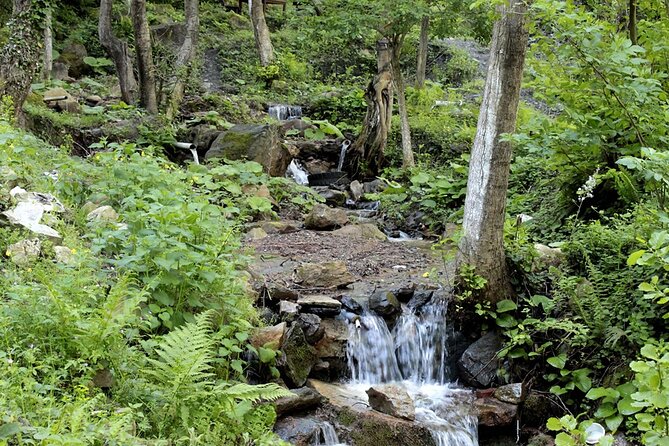 From Istanbul: Sapanca and Masukiye Day Trip with Lunch - Lunch in Masukiye: Included Food, Scenic Surroundings