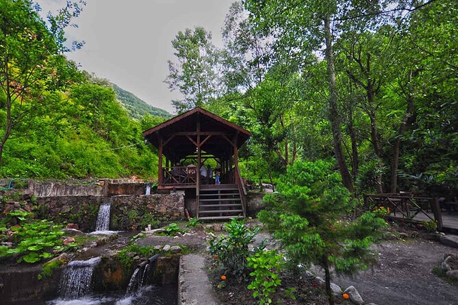 From Istanbul: Sapanca and Masukiye Day Trip with Lunch - Masukiye After Lunch: ATV, Zipline, and the Swing Factor