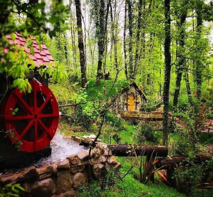 From Istanbul: Sapanca & Masukiye Tour with Lunch - Lakeside lunch near a roaring waterfall: what you actually get