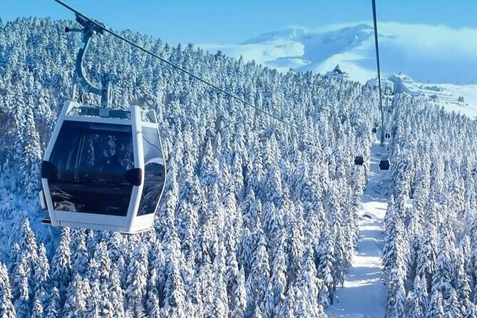 Full Day Bursa Tour from Istanbul(cable car, Lunch & transfer) - Price and what you really get for $42.14