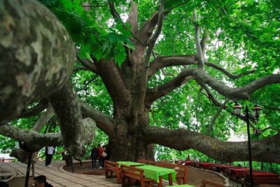 Full Day Bursa Tour from Istanbul(cable car, Lunch & transfer) - ATV safari and the nature stop: optional adrenaline, included time