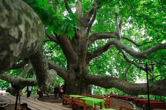 Full Day Bursa Tour from Istanbul(cable car, Lunch & transfer) - ATV safari and the nature stop: optional adrenaline, included time