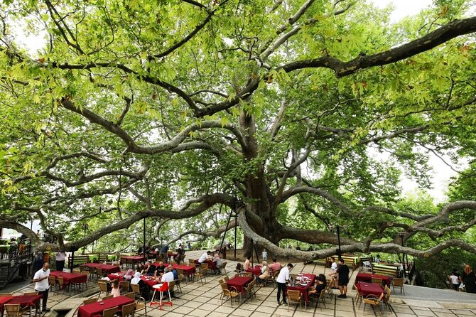 Full Day Guided Tour to Bursa with Lunch and Cable Car - Lunch Timing and the Drinks Catch