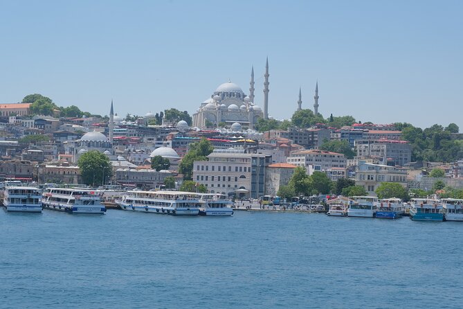 Full Day Istanbul Bosphorus Cruise and Dolmabahce Palace Tour with Private Guide - What the tour price really buys (and what you’ll pay separately)