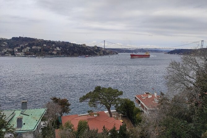 Full Day Istanbul Bosphorus Cruise and Dolmabahce Palace Tour with Private Guide - Timing, energy, and a realistic crowd level