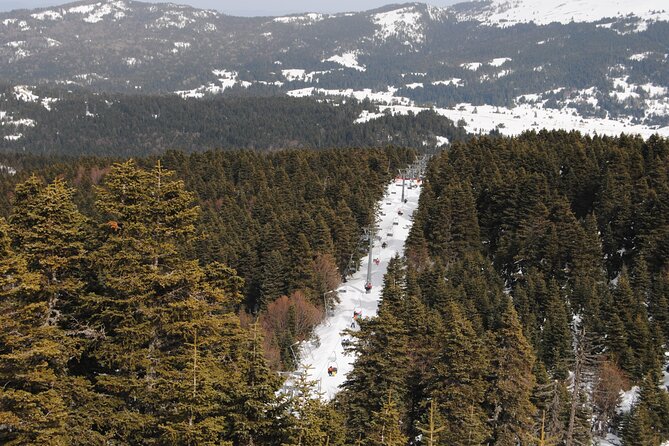 Full-Day Istanbul to Bursa Excursion With Cable Car - Yalova Province break: a pass-through with optional add-ons