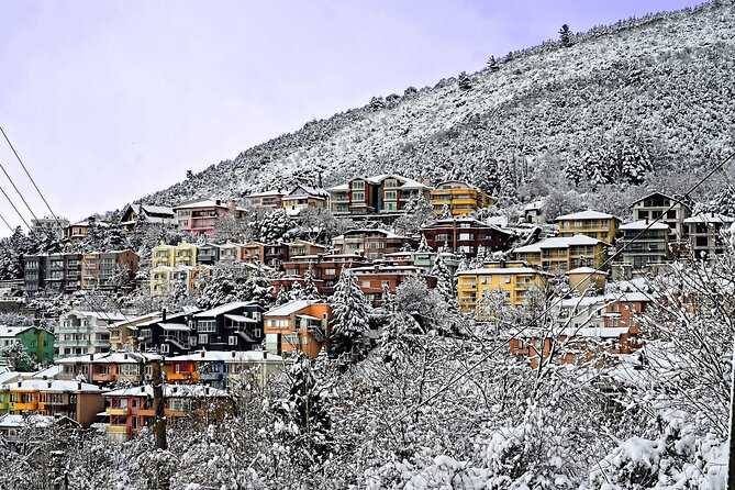 Full-Day Istanbul to Bursa Excursion With Cable Car - Uludağ National Park: mountain time without the whole workout