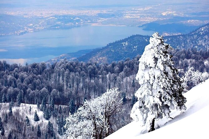 Full-Day Tour in Maşukiye and Sapanca with Pick Up - Price and Value for a Full Day Out of Istanbul