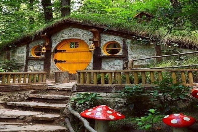 Full-Day Tour in Maşukiye and Sapanca with Pick Up - Lunch, Drinks, and What to Plan for Comfort