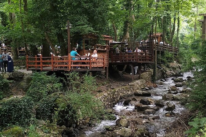 Full Day Tour in Sapanca & Masukiye from Istanbul - Darica: Optional Zoo or Aquarium Stop (Seasonal)