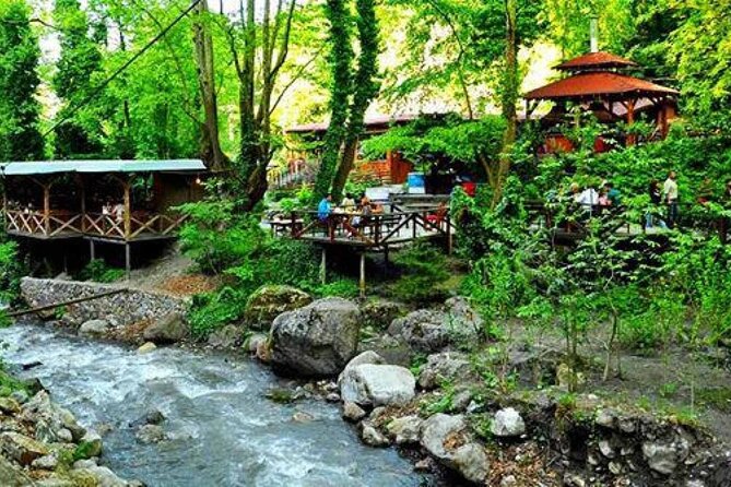 Full Day Tour in Sapanca & Masukiye from Istanbul - Hotel Pickup and Timing: Good Convenience, One Key Limitation
