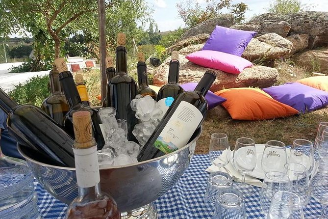 Full-Day Wine Tour from Istanbul - Setting out from Istanbul: what the 12 hours really means