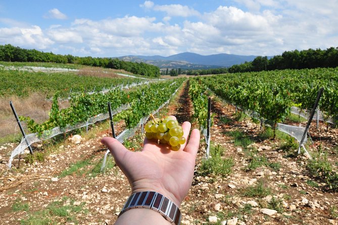 Full-Day Wine Tour from Istanbul - Thrace by coach: why the drive is part of the experience