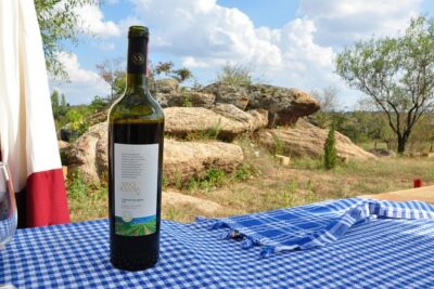 Full-Day Wine Tour from Istanbul - Stop 1: Poyrali village time and the Chamlija Winery debut