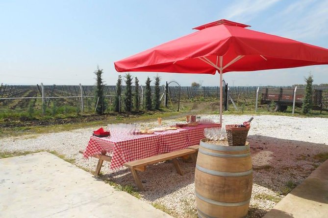 Full-Day Wine Tour from Istanbul - Stop 3: Cesmeli and Chateau Nuzun’s organic focus