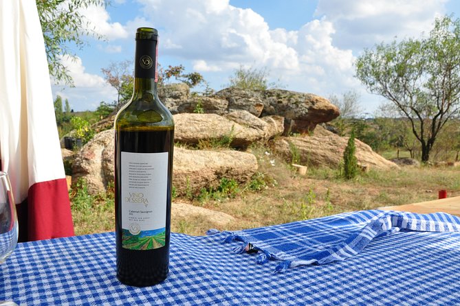 Full-Day Wine Tour from Istanbul - Stop 1: Poyrali village time and the Chamlija Winery debut