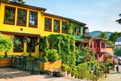 Green Bursa and Uludağ Tour from Istanbul - Istanbul to Bursa: the Bosphorus drive that sets the tone