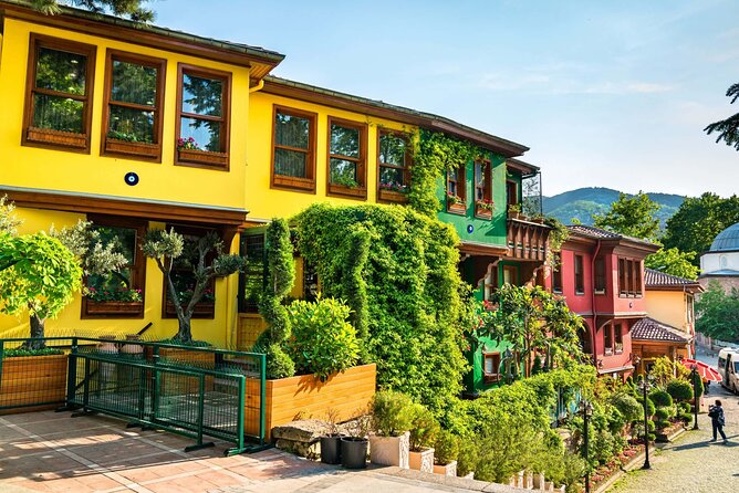 Green Bursa and Uludağ Tour from Istanbul - Istanbul to Bursa: the Bosphorus drive that sets the tone